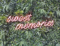 svg+xml,%3Csvg%20xmlns%3D%22http%3A%2F%2Fwww.w3 svg+xml,%3Csvg%20xmlns%3D%22http%3A%2F%2Fwww.w3