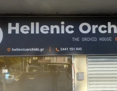 1295451208 1295451208